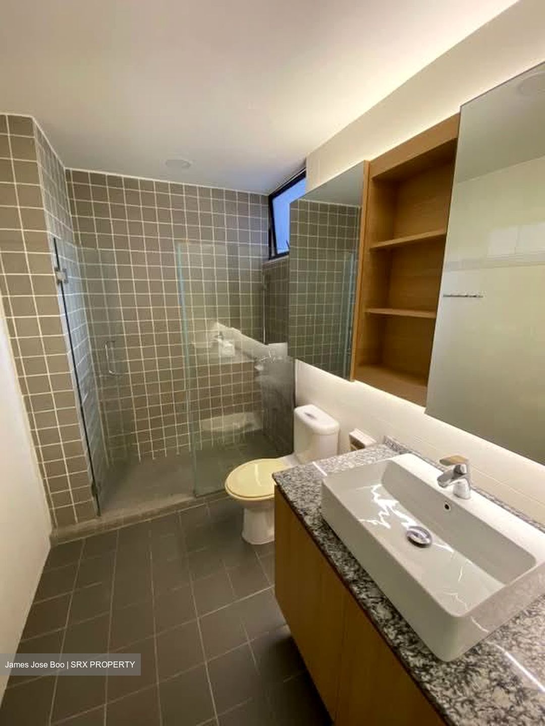 Newton Lodge (D11), Apartment #596422751